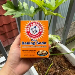 Bột nở baking soda Arm & Hammer dùng làm nguyên liệu bánh và chất tẩy rửa trọng lượng 454gr