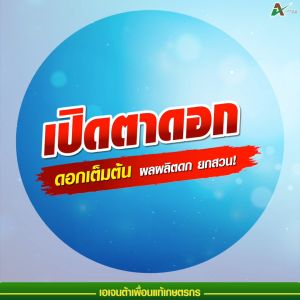 เปิดตาดอก ยืดช่อดอก ดอกมาไว ออกดอกพร้อมกันทั้งต้น ดอกอ้วน ช่อดอกใหญ่ ดอกสมบูรณ์ ติดผลดก (250 ซีซี)