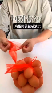 【READY STOCK】100PC Fruits Vegetables Seafood Bag/Reusable Mesh/Produce Storage Net Bags/Thick Sturdy Supermarket Bags/网袋