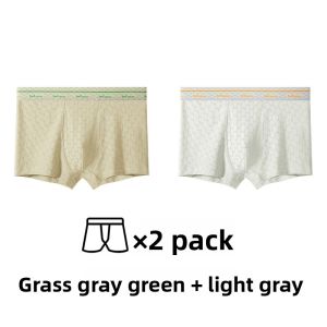 MiiOW | Pure Cotton Mens Underwear Soft Breathable Flat Angle Shorts Antibacterial Comfortable Innerwear MiiOW Cat Man 2024 New Style