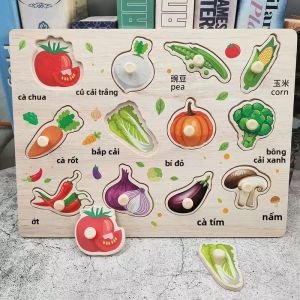 Đồ Chơi Giáo Dục Học Màu Sắc và Hình Dạng cho Trẻ