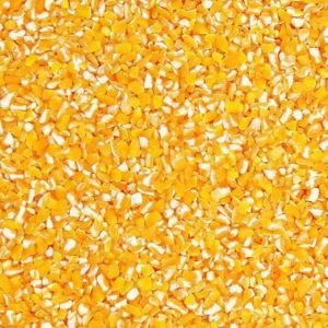 5kg Bắp Ngô làm thức ăn cho gà vịt chim