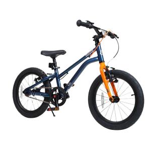 RoyalBaby | Easy Ride Ultra Lightweight Childrens Bicycle