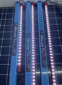 Aquarium Submersible T8 6500k LED Lamp For Arowana (Ready Stock)