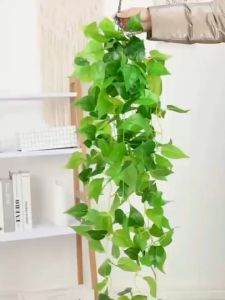 Simulation Green Rose Hanging Orchid Wall Decoration: A Comprehensive Guide