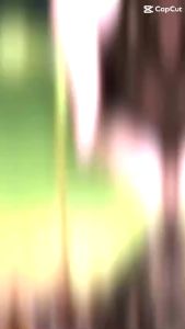 Phân Trùn Quế 25kg - Phân Bón Hữu Cơ Giàu Dinh Dưỡng Hỗ Trợ Sự Phát Triển Của Mọi Loại Cây