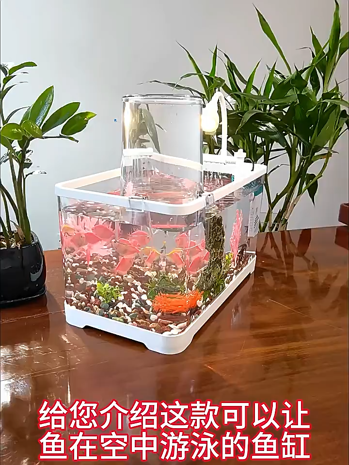 360° Aquarium with LED Lighting and Power Filter Desk Aquarium Set with Water Pump for Beginners