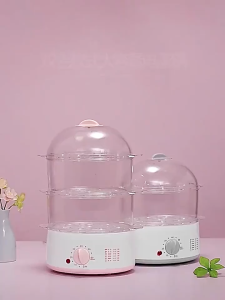 Electric Food Steamer 2/3 Layer 450W 60 Minute Timer Auto Shut Off Healthy Cooking Retains Nutrients for Seafood Vegetable Meat Dim Sum Easy Clean Transparent Bowl Kitchen Steamer