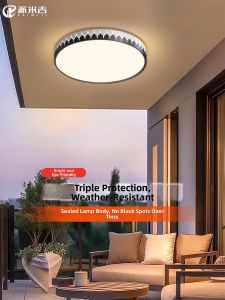 PAIMIJI | Outdoor Entrance Lighting