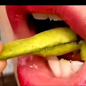 Healthy & Crispy Vegetable Snacks for Everyone