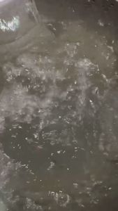 Chai Tẩy Lồng Máy Giặt MAGIC LIVE Kháng Khuẩn Tốt Khử mùi nhanh 300gr