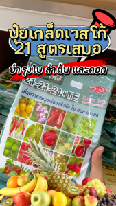 21-21-21+TE ตราเวสโก้ สูตรเสมอ ปุ๋ยเกล็ด 1KG