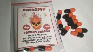 JAMINAN UANG KEMBALI..!!! Jamu predator Jamu ayam aduan/laga Tenaga tanpa batas dan agresif
