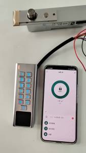 Khóa Cửa Vân Tay Thông Minh Bàn Phím WiFi IP66 Khóa Điện Ngoài Trời Tuya App Keyless Entry Với Hỗ Trợ Thẻ ID RFID