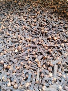 cengkeh kering harum