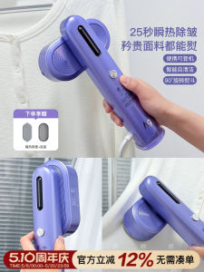 Portable Handheld Garment Steamer
