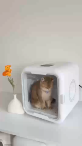 ตู้เป่าขน ตู้เป่าขนแมว ขนาดใหญ่ 62L/100L เสียงเงียบ ลมหมุนเวียน 360 องศา ประจุไอออนลบ ระบบฆ่าเชื้อ