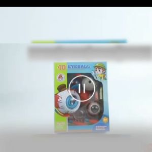 Human Body Anatomy Model Mata Anatomi Model Alat Peraga Anatomi Tubuh Manusia Mainan Edukasi