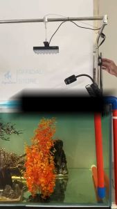 Đèn led zetlight E3-F ánh sáng 8000-10000K siêu sáng dành cho bể cá thủy sinh