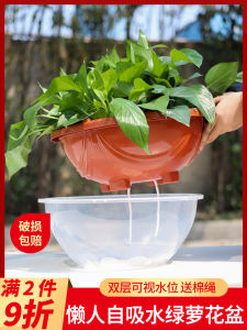 Double Layer Resin Plant Pots Plastic Indoor Self Watering Spider Plant Pots Green Ivy Special Use Flower Pots Simple Style Ground Space