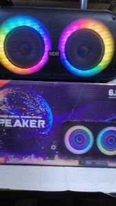 NDR-Q68 Professional Battery System Portable  Bluetooth speaker with wireless mic
