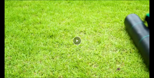 Weedmat 0.5 1 2 Meter Width 90GSM/100GSM Garden Weedmat Weed Control Mat Barrier Garden Lanscape Penanah Bumi Pencegah Rumpai