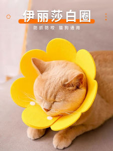 Elizabethan Collar Dog Cat Head Cover Prevent Licking Spay Neuter Pet Cat Dog Head Cover Dishonor Anti-Bite Travel Leash Accessories