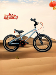 RoyalBaby | Climber Easy Riding Childrens Bicycle