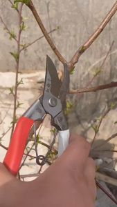 Heavy Duty Garden Pruning Shear Cutter Home Heavy Duty High Manganese Steel/Gunting Pokok
