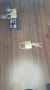 Heavy Duty Padlock RES padlocks(20mm 32mm 50mm 63mm) per pc