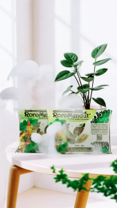 Jerawat & Beruntus Parah Wash Off Mask Charcoal Tinospora Brightening Non Kimia