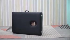 [Same Day Delivery] Portable Foldable Stainless Steel Massage Bed + Pillow + Bag