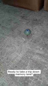 FS 603 Wooden Top and /OR Sipa Toys Turumpo / Trumpo Larong Kalye (Random Color/Design)