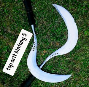 TOP BINTANG 5 ALAT TANI COCOK UNTUK NGAMBIL RUMPUT