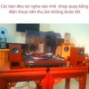 Loa cao cấp ma trận toàn dải Bluetooth- Thiết Kế Gỗ ĐẹpÂm Thanh Chính Xác