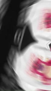 Áo Thun Polo Nam Nữ Gấu Hồng Lotso