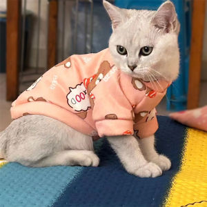 Fall Cat Clothes & Kitten Muppet: A Comprehensive Guide