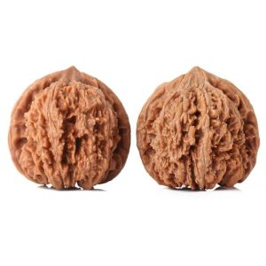 หายากกลางแจ้งสร้างไม้ NUT เกม 137 Lion HEAD ประตู Bell Snail HEAD ปักต้นไม้ขนาดใหญ่เล่นแผ่นมือเครื่องมือ