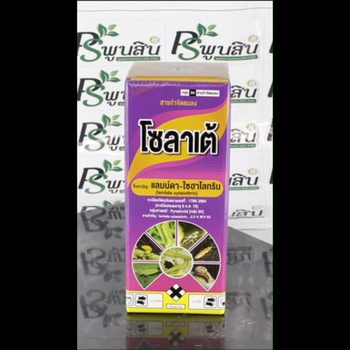 10 อันดับ ยาปราบศัตรูพืชยอดนิยม สำหรับสวนของคุณ อัปเดตปี 2025