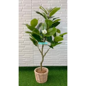 Pohon Artificial Tanaman Hias Magnolia T120 Latex Cover Pot Rotan Bulat Dekorasi Apartemen Pajangan Ruang Tamu