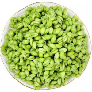 Fresh Wheat Berries