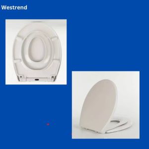 Westrend 2 in 1 seat and cover with chilfren or adult soft closed pp material