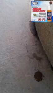 【 In Stock 】Strong Efficacy Cockroach & Ant Gel Bait Drops Cockroach Ant Killer One Drop Eliminates Insect Repellent Umpan Lipas Dan Semut 蟑螂蚂蚁胶饵剂