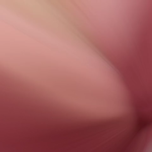 Diskon Khusus Hari Ini bra Remaja sport Tanpa busa wanita murah meriah / BH tanpa kawat Tanpa Busa