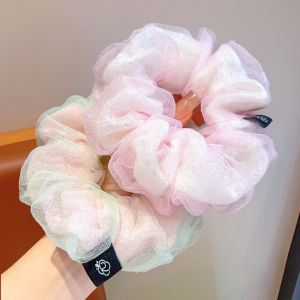 DUBAO | Large Macaron Soft Tulle Hair Tie