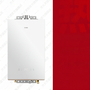 Balanced Flue Compact Gas Water Heater Constant Temperature Frost Prevention