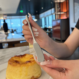 Dessert Cake Knife 316 Stainless Steel Butter Cream Spread Knife Bright Stainless Steel Knife for Eating Sweet Desserts