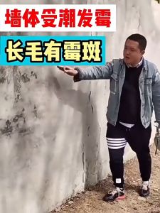 Wall Mold Remover Spray Mildew Spot Remover Cleaner 500ml 除霉剂白墙面壁纸发霉除霉墙体护理清洁剂墙体除霉剂