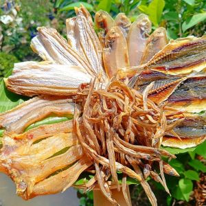 Set khô cá Miền Tây mix 5 loại 500g ( khô cá lóc dứa baby chỉ vàng lìm kìm trứng lưỡi trâu)