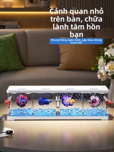 KUOTING | Small Living Room Multiple Compartments Transparent Display Aquarium for Betta Fish